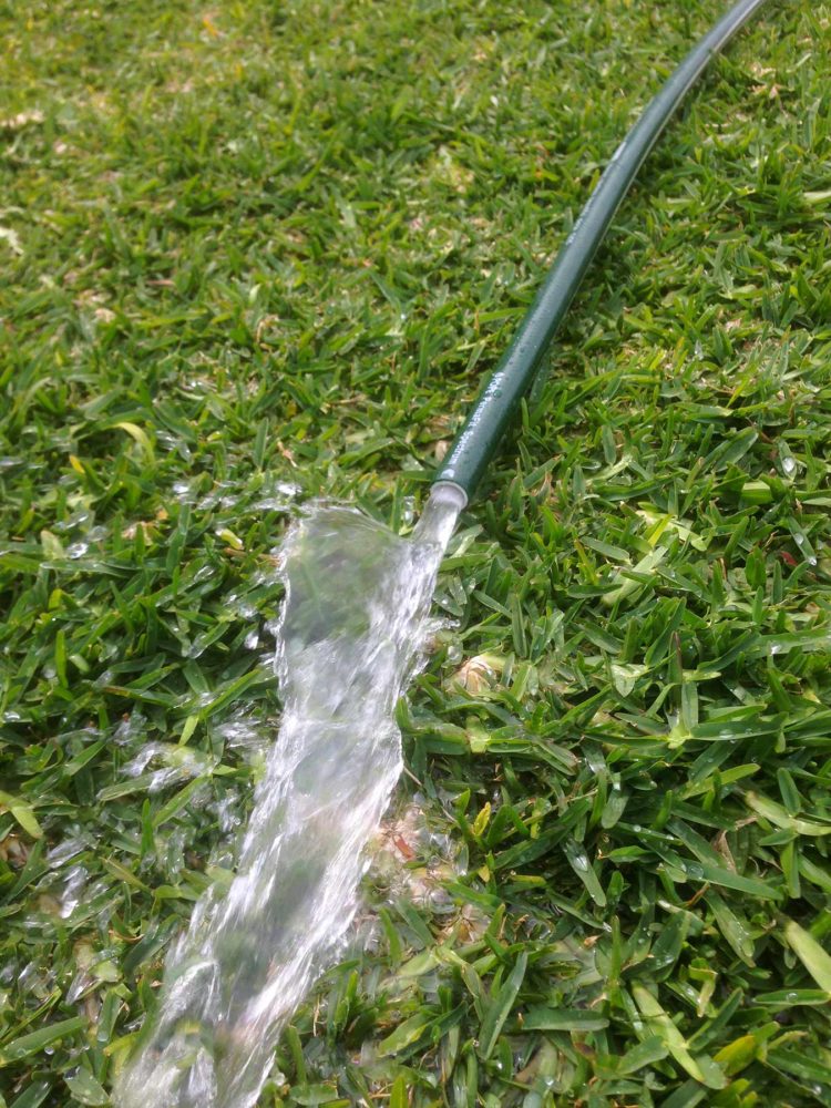 Learning the Basic Divining Method The Divining Tool